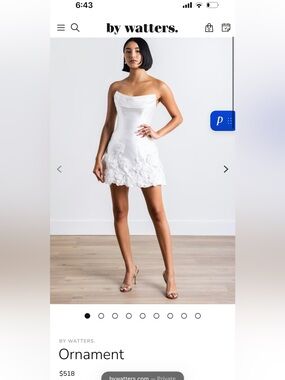 Watters | Dresses | Nwt Watters Beyond Tiestrap Corset Mini Dress Sz4